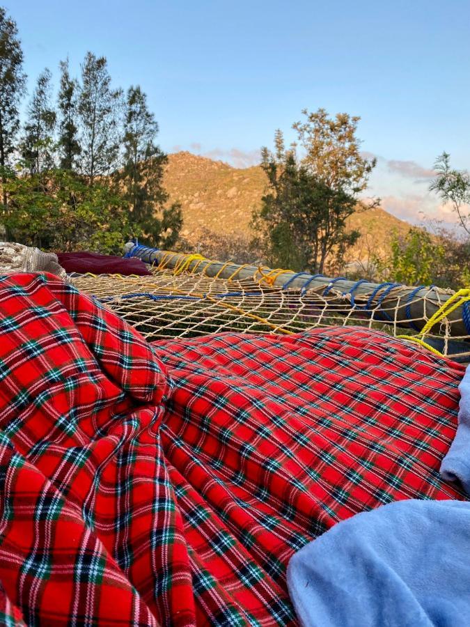 Hidden Valley Backpackers 이링가 외부 사진