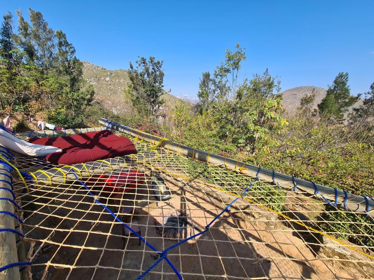 Hidden Valley Backpackers 이링가 외부 사진